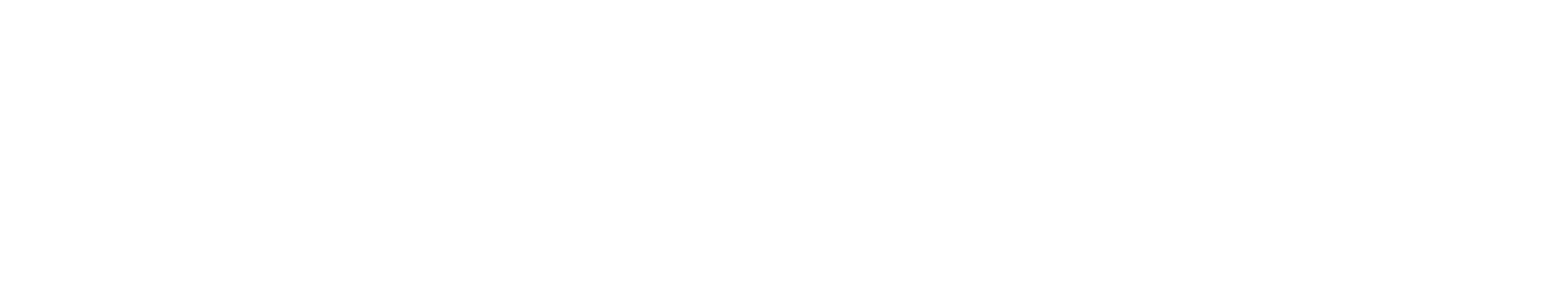 SkaleWorx